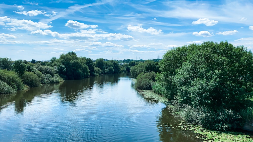 green trees beside river under blue sky during daytime