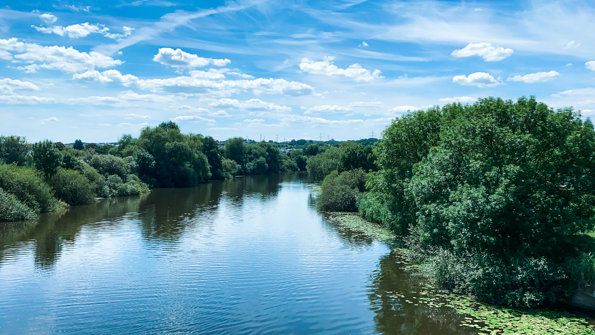 green trees beside river under blue sky during daytime