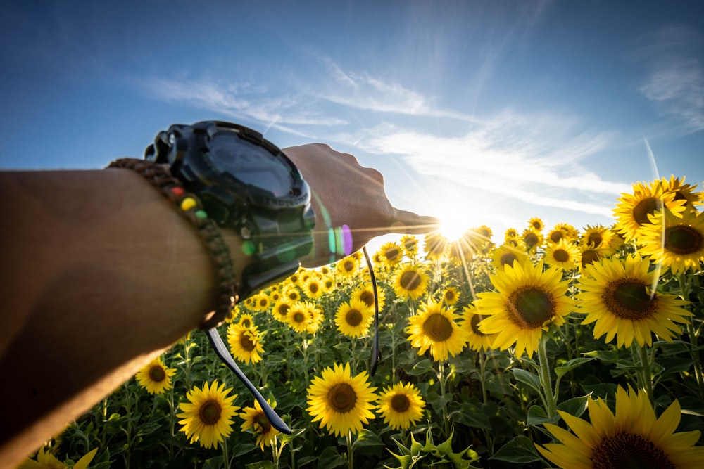 Person mit schwarzer Sonnenbrille, die tagsüber Sonnenblumen hält