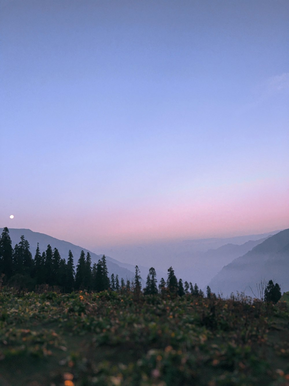 green trees near mountain during daytime