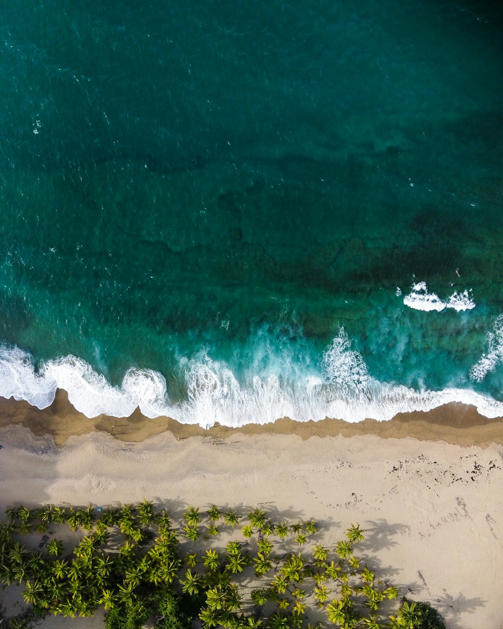 aerial view of ocean waves on shore during daytime