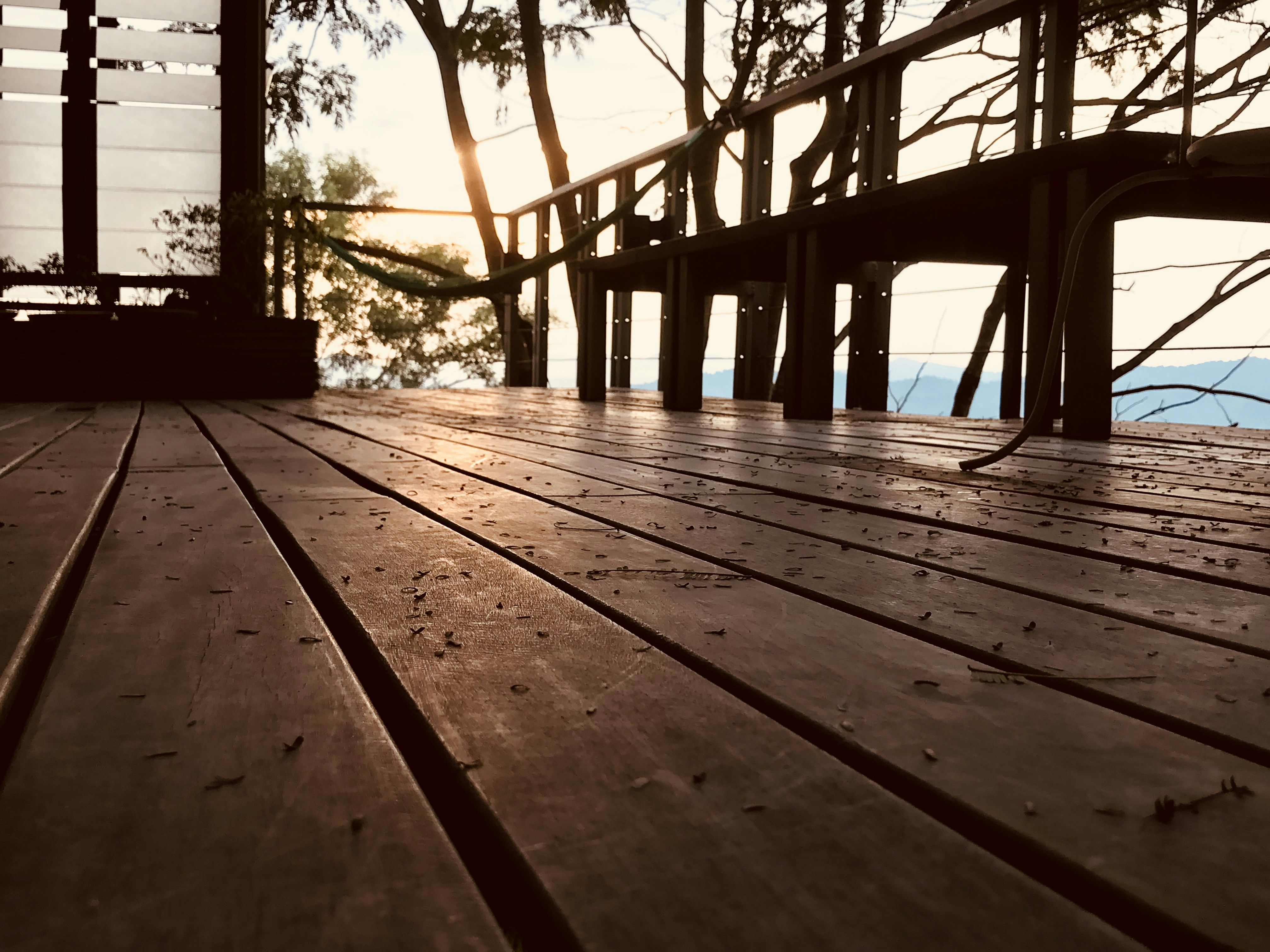 A freshly built small wooden deck attached to a suburban home, bathed in warm afternoon sunlight