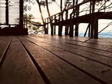 Sunlight filtering through rainforest canopy onto a peaceful wooden deck.