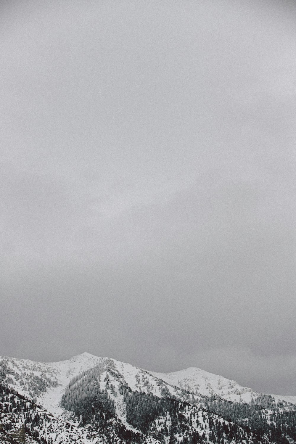 昼間の曇り空の下、雪に覆われた山