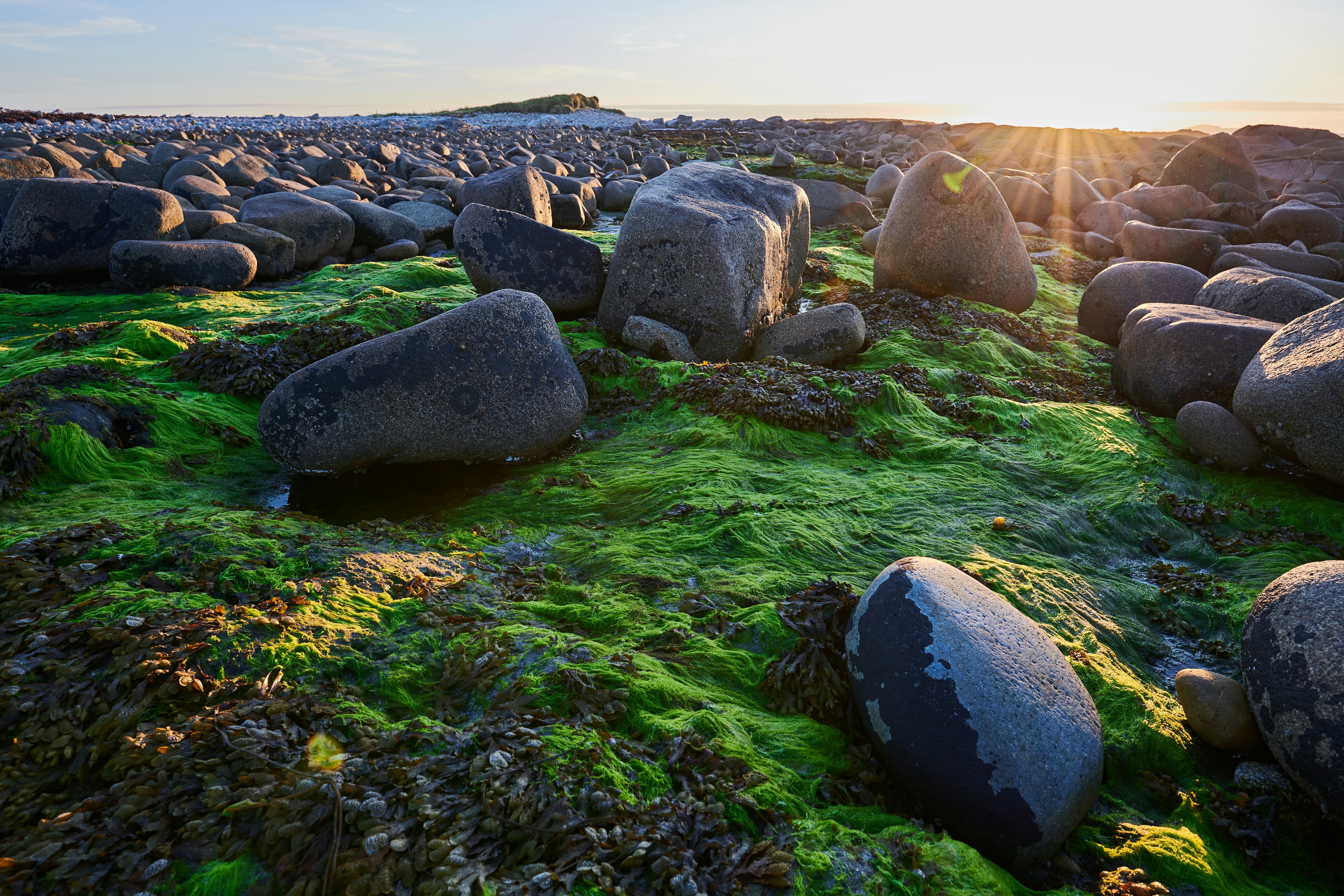 Photo by johnygoerend