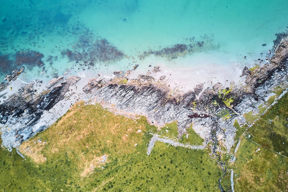 aerial view of green trees and body of water