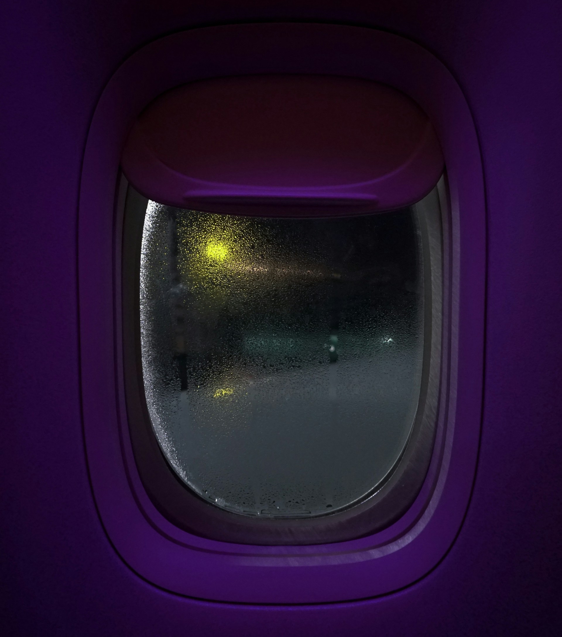 purple and gray plastic container