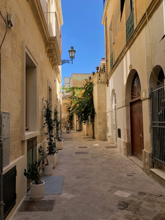 green plants on gray concrete floor in Lecce Italy