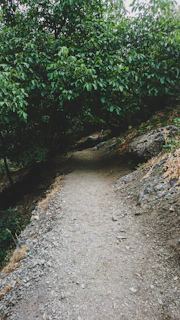 A peaceful trail winding through the protected green spaces near Tibi, untouched by development.