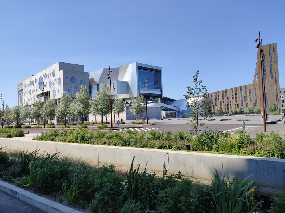 green palm trees near white concrete building during daytime