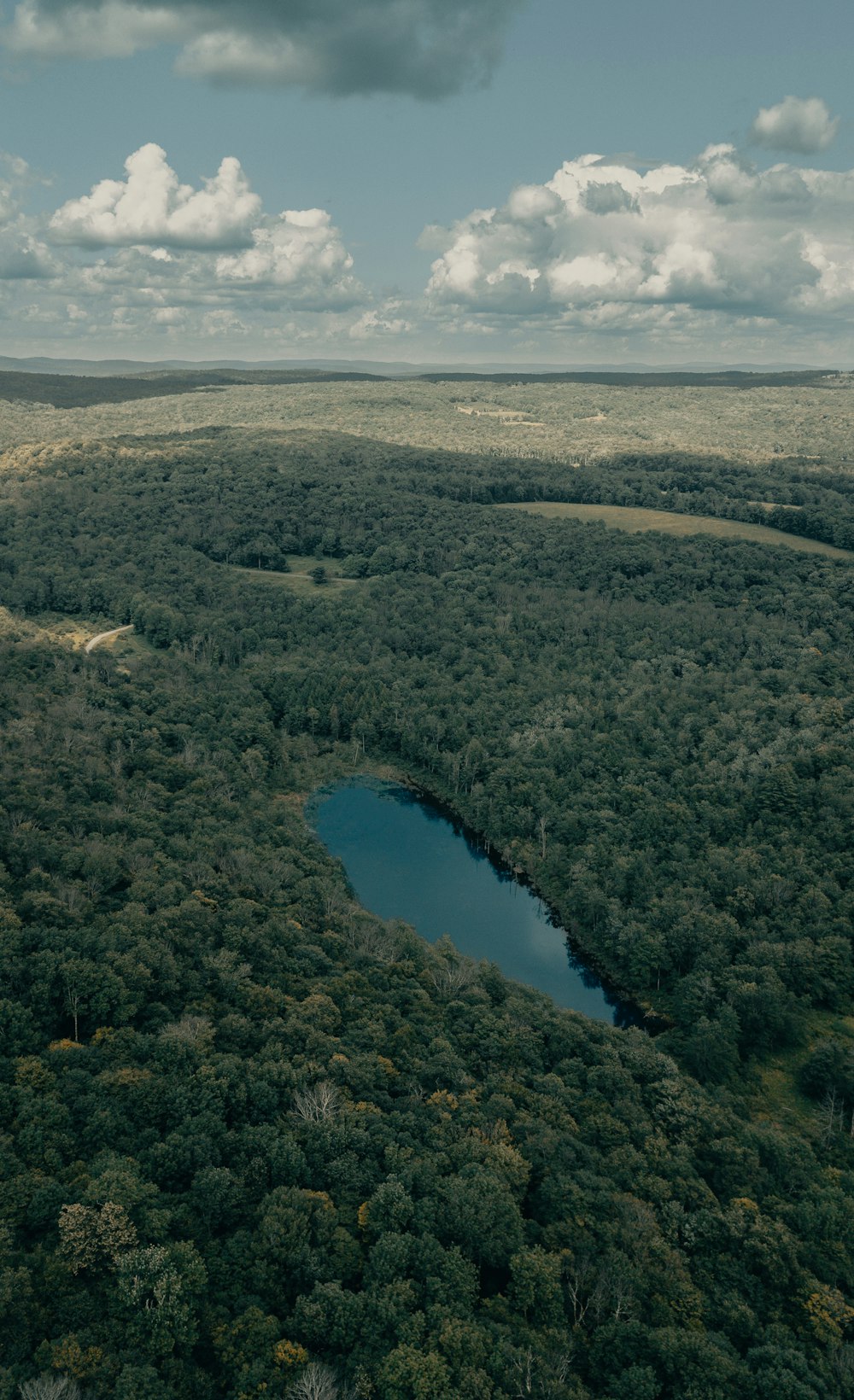 Vista aérea del lago rodeado de árboles verdes durante el día
