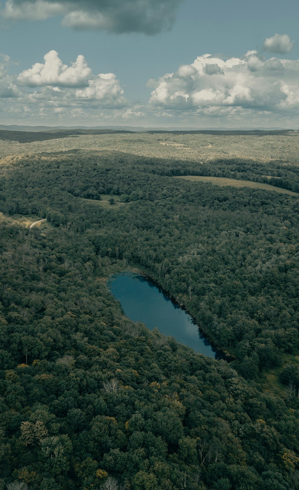 aerial view of lake surrounded by green trees during daytime