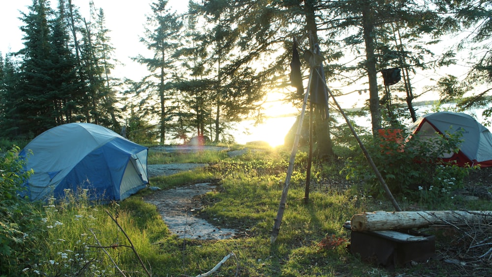 white tent on green grass field during daytime