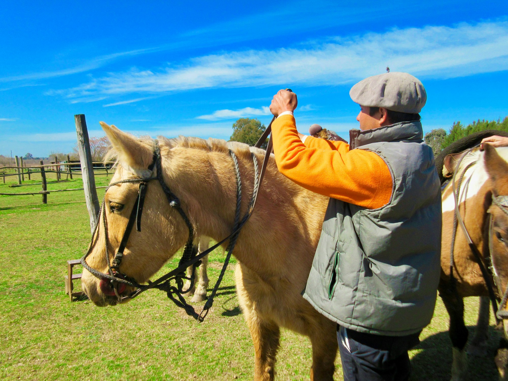 gauchi con chaqueta gris y pantalón gris oscuro ensillando su caballo marrón en una estancia argentina