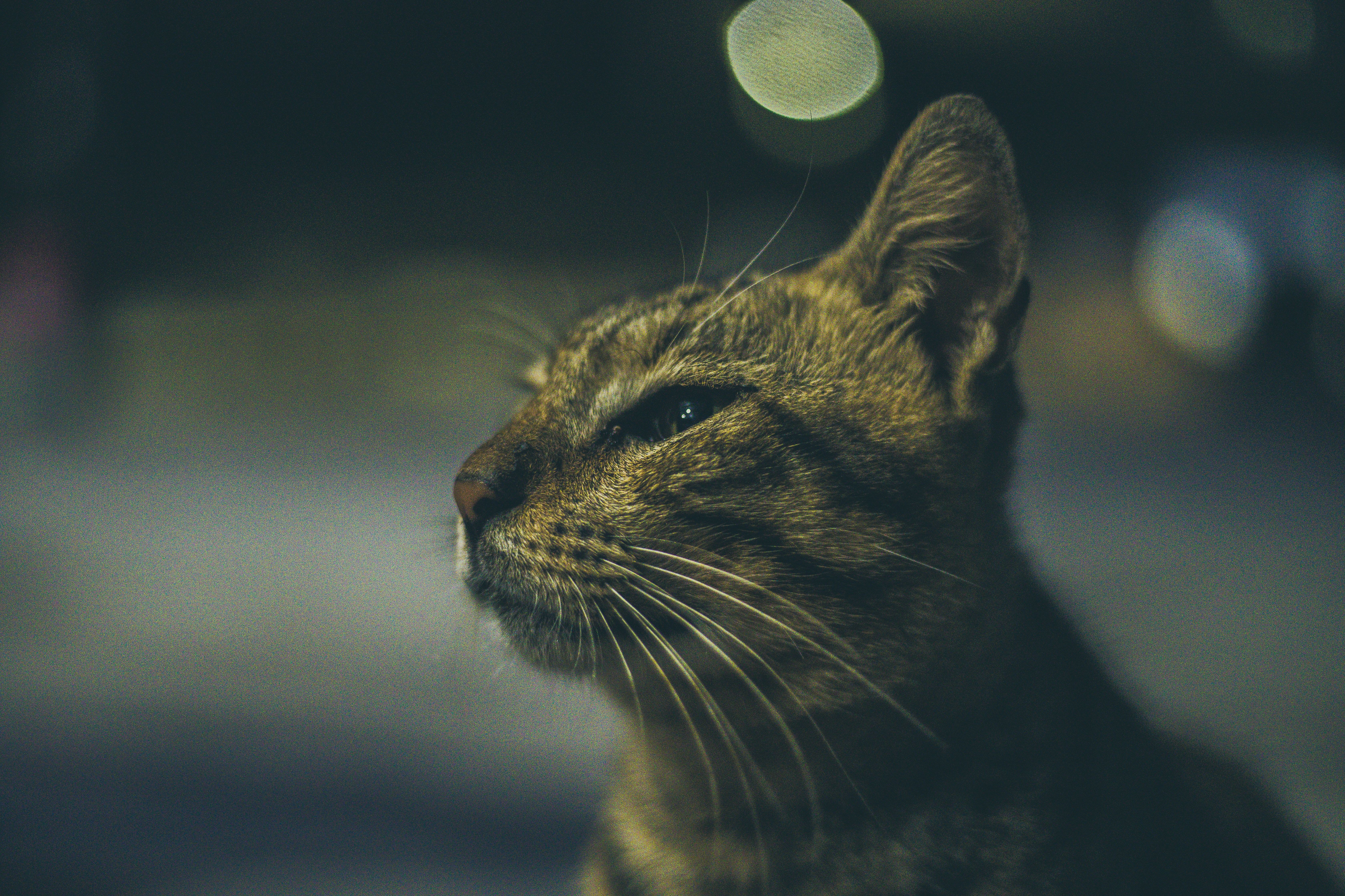 Photo by live_for_photo