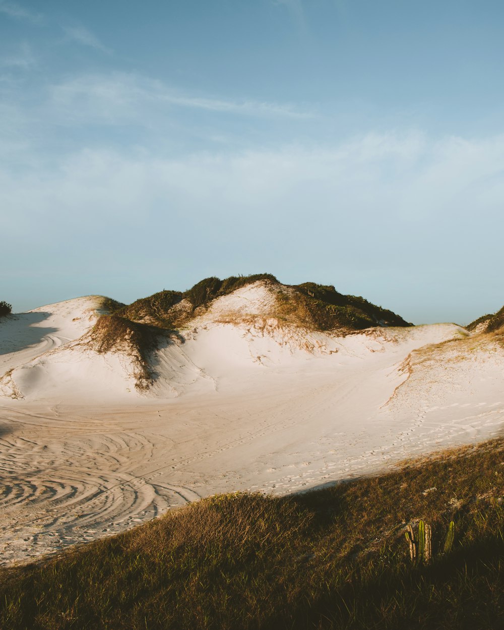 brown sand near body of water during daytime