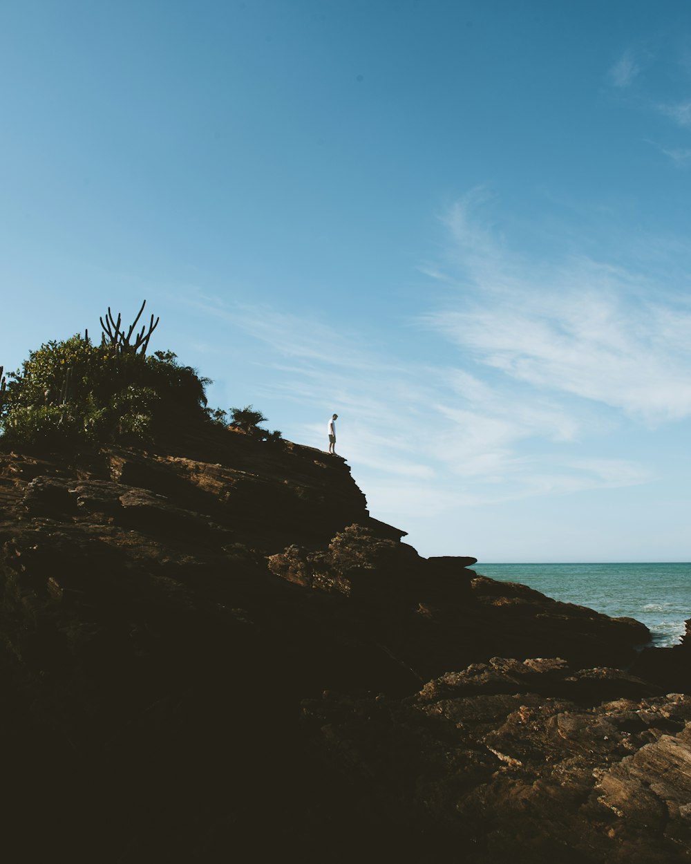 person standing on rock formation near body of water during daytime