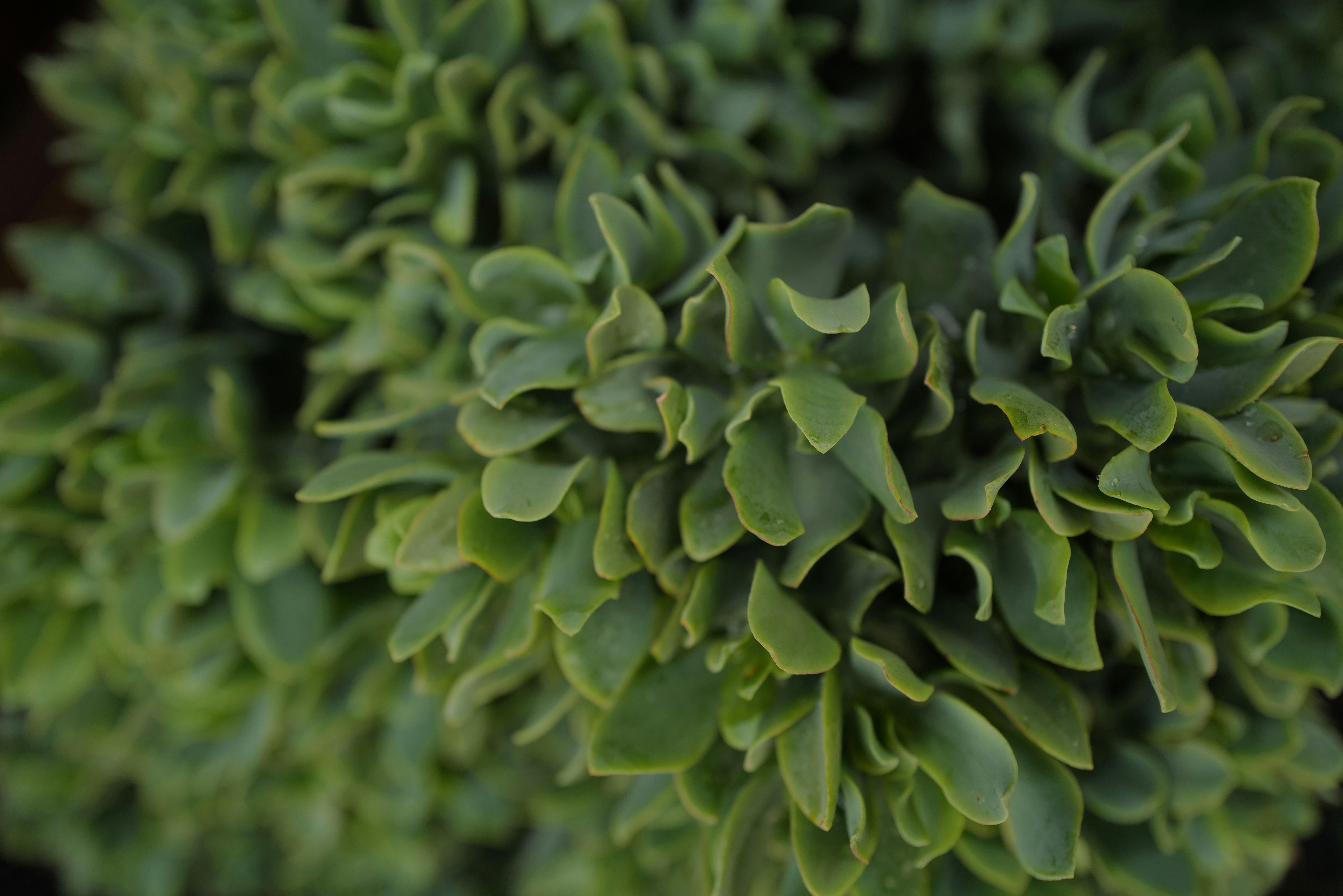 Photo by mathematicalmichael