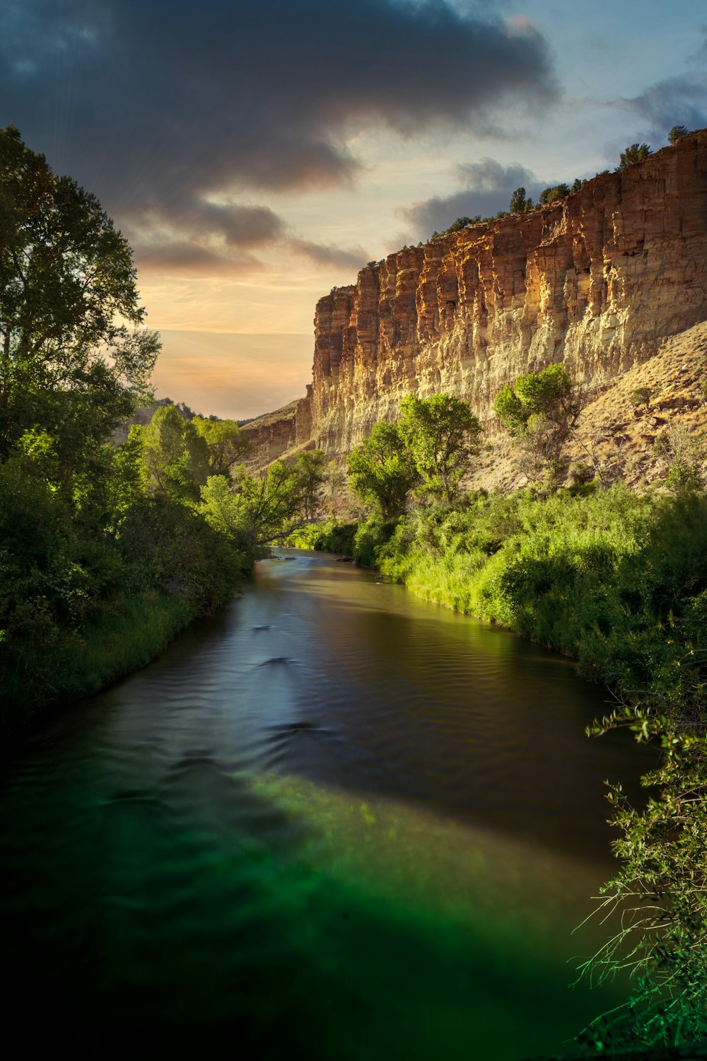 river between green trees under blue sky during daytime