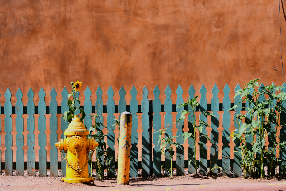 yellow fire hydrant beside white wooden fence