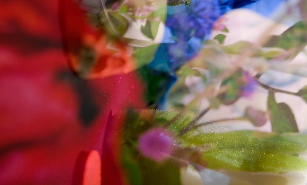 white and purple flower in clear glass vase