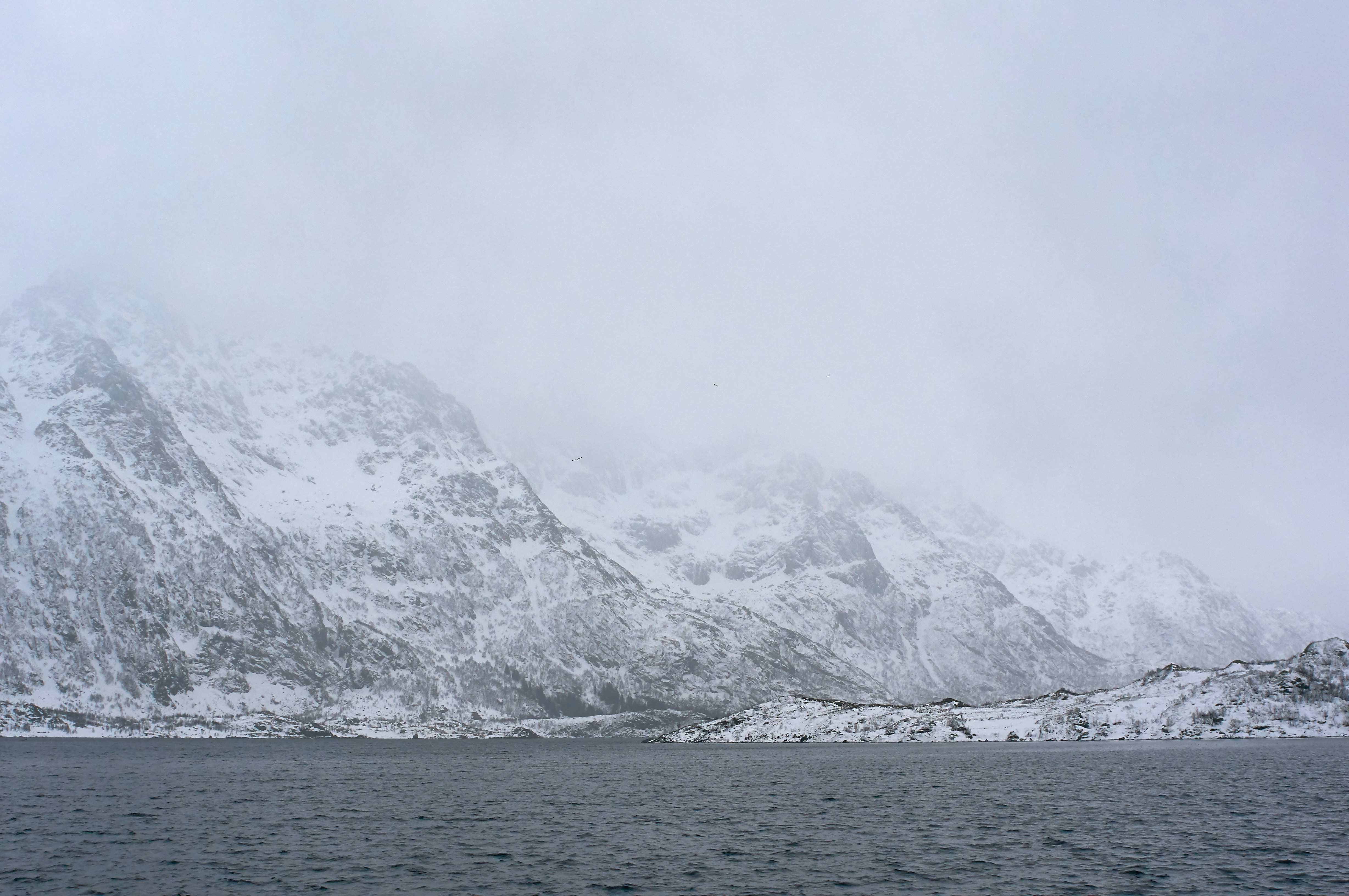 Photo by wolfgang_hasselmann