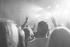Crowd shot capturing fans singing along at a Modern Love Bowie tribute concert