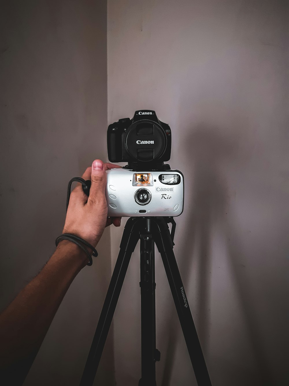 person holding white and black sony camera