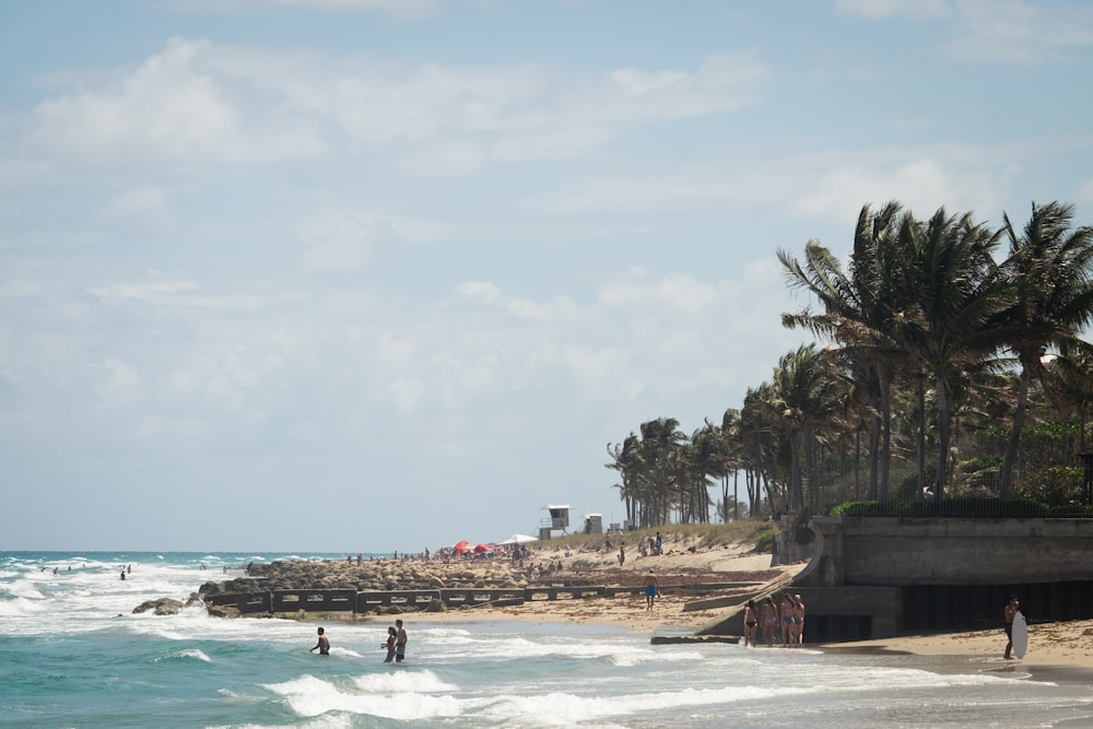 people on beach during daytime