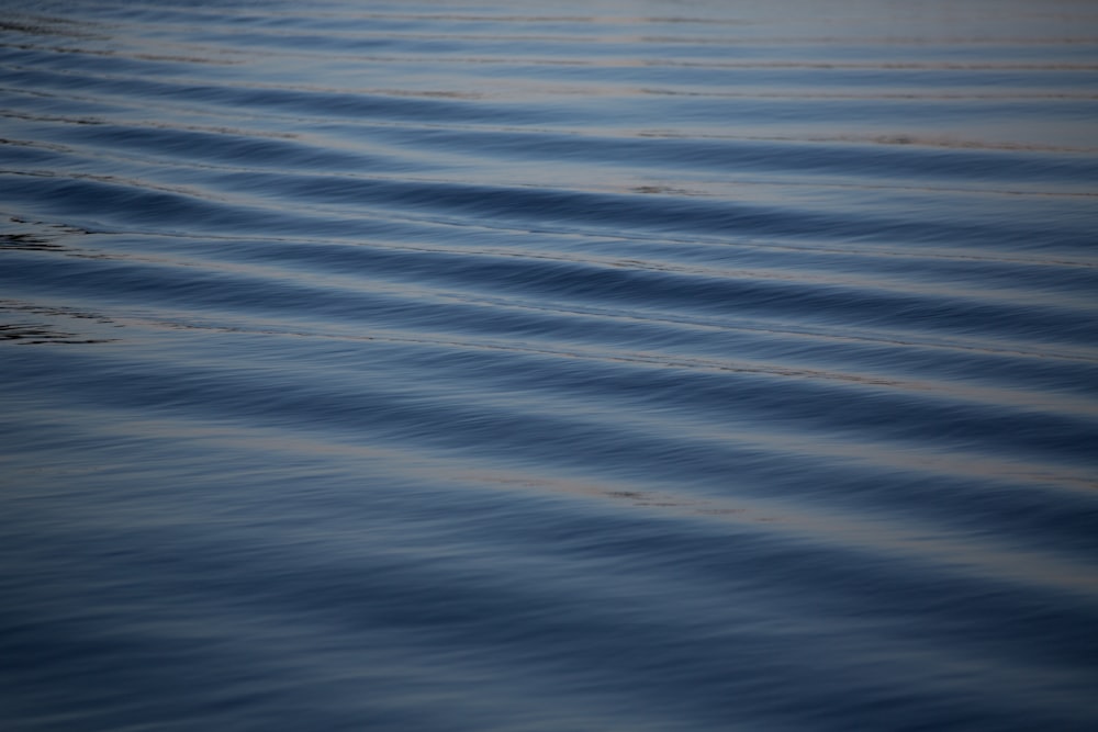 blue and white body of water