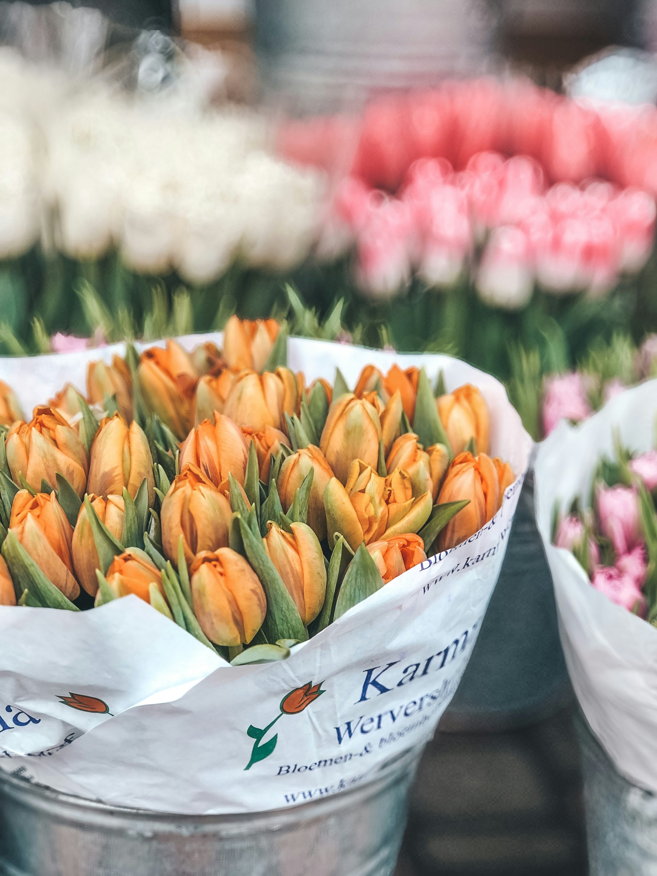 Photo by eugeniya_brvsk