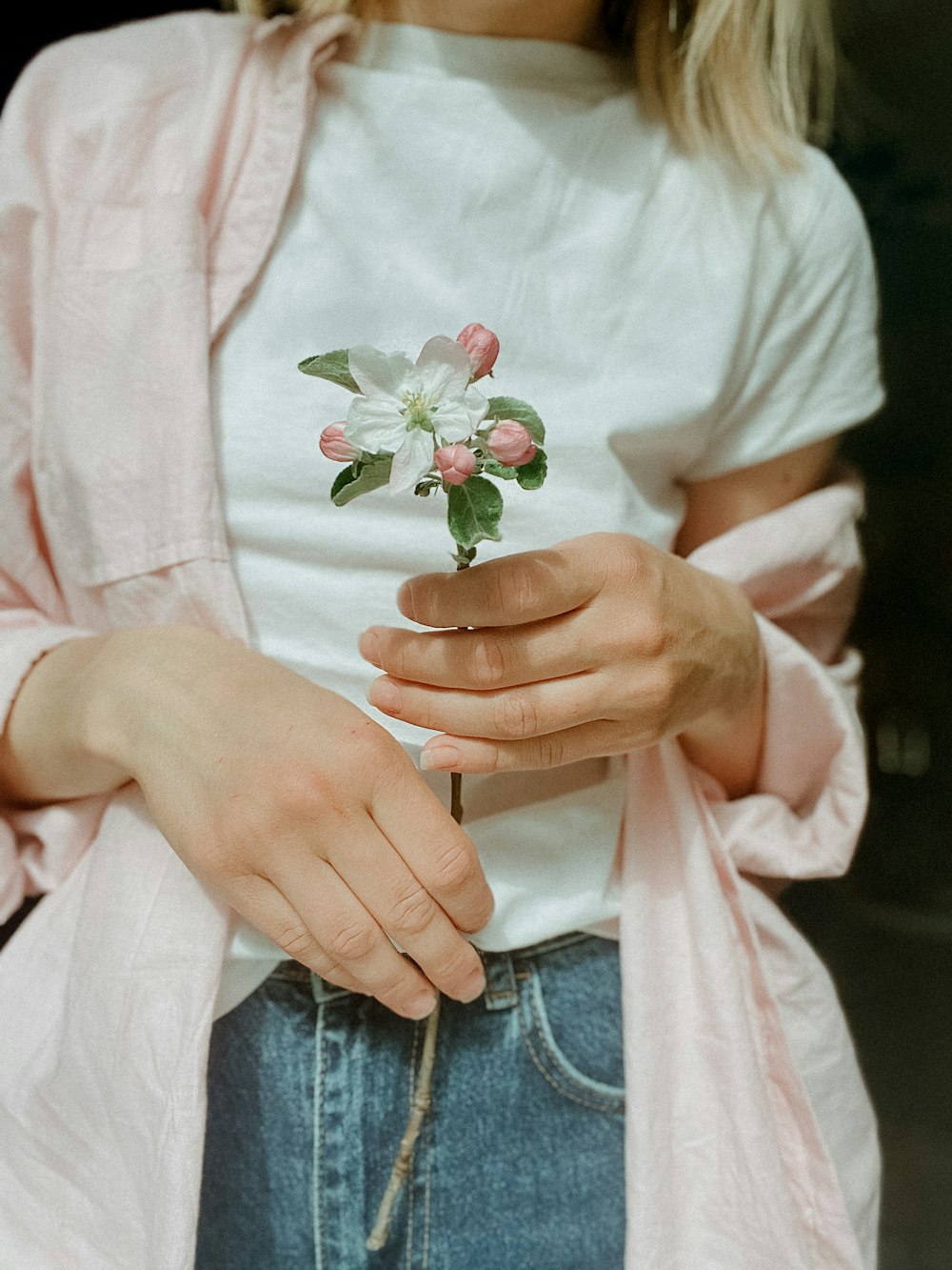 person in white button up shirt holding pink flower
