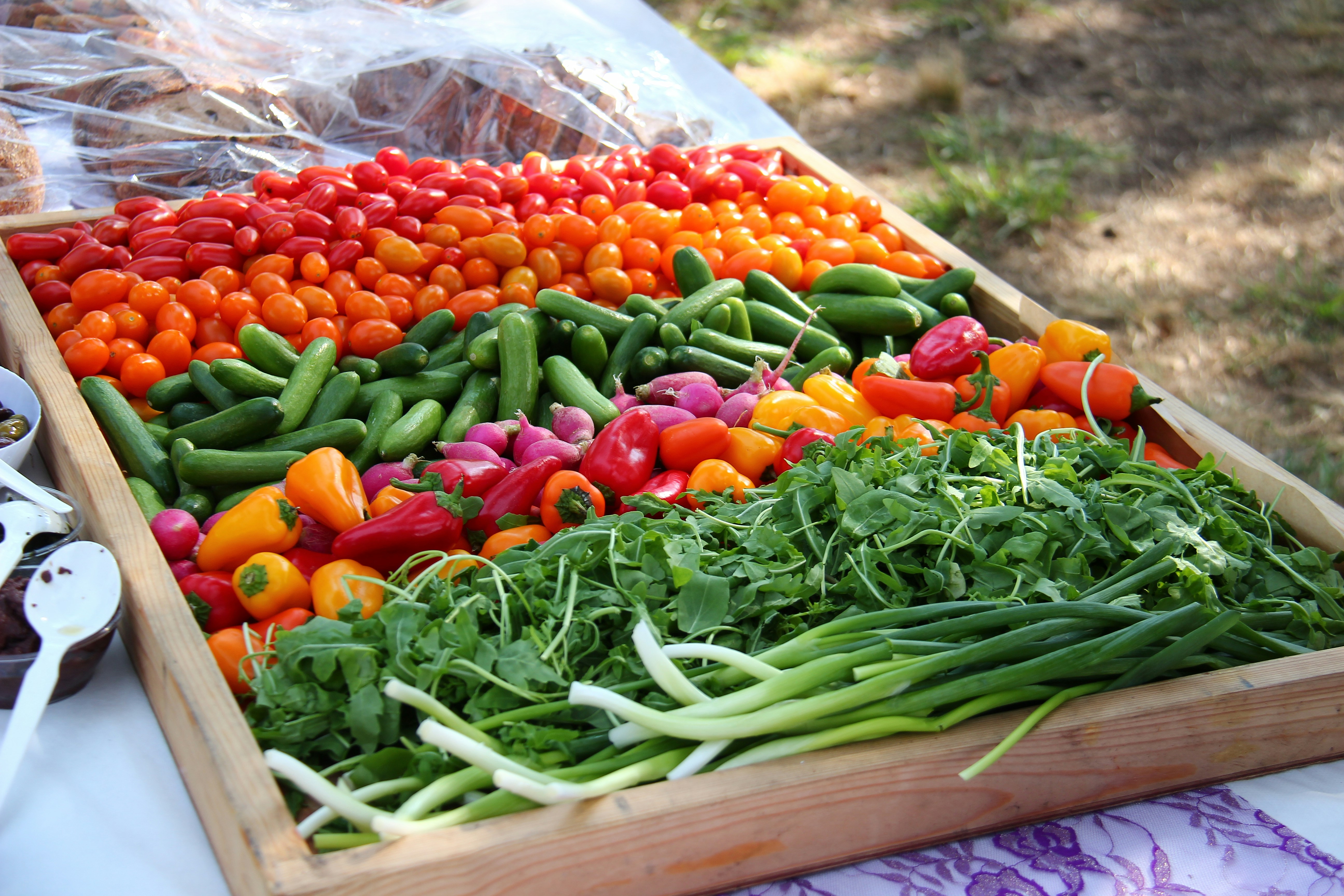 green and red chili peppers