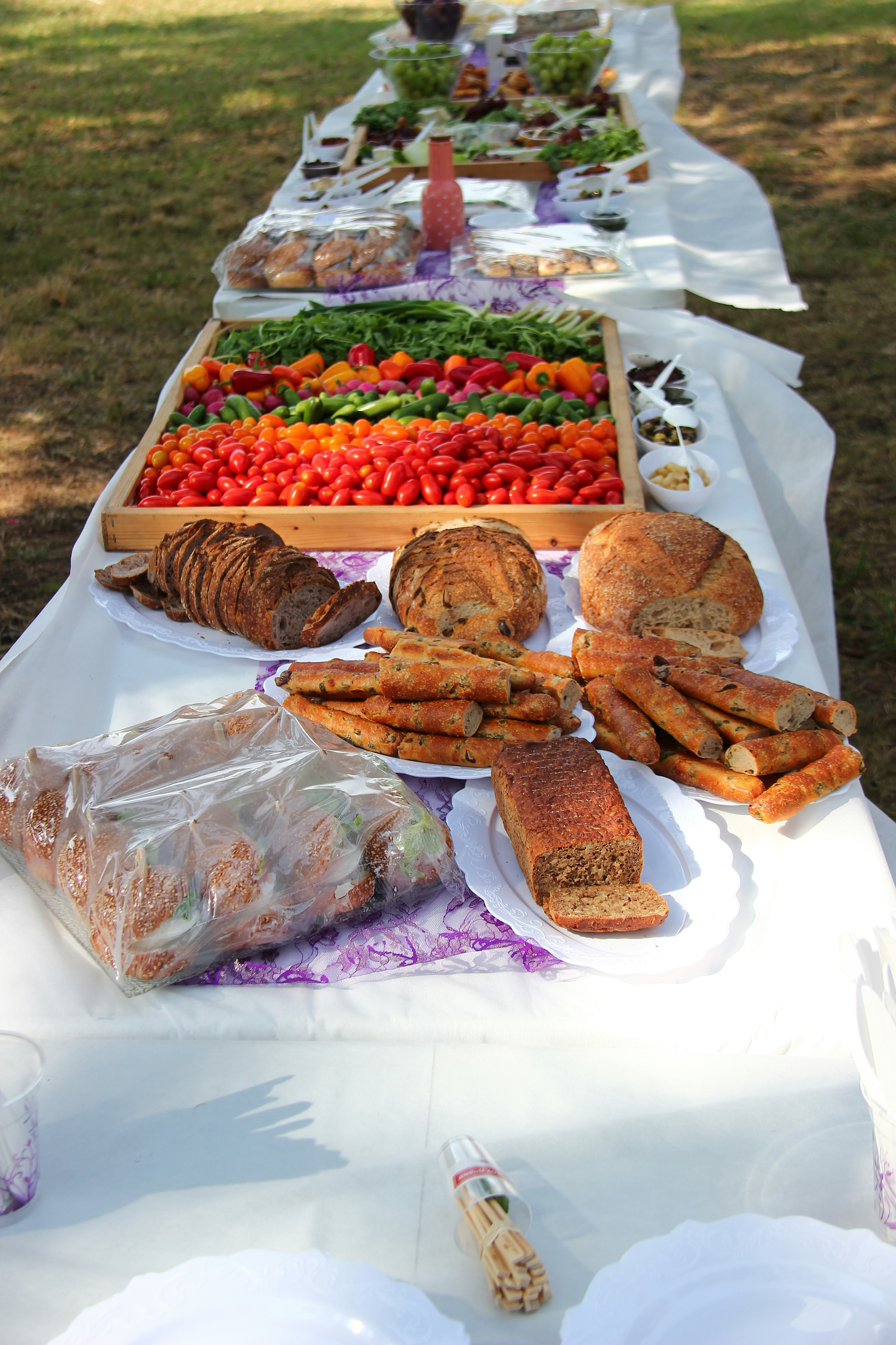 Abundant family style meal spread on outdoor picnic table in bright sunny backyard