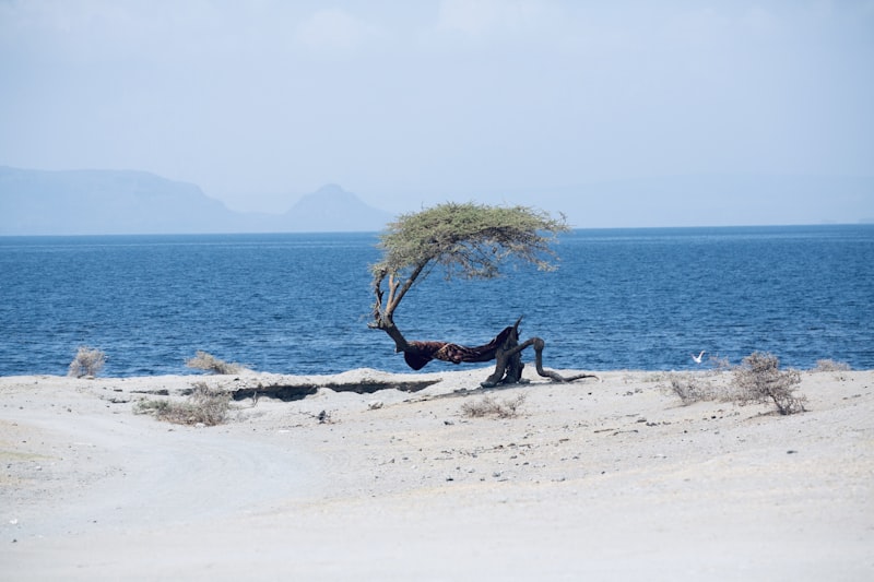 Hawassa