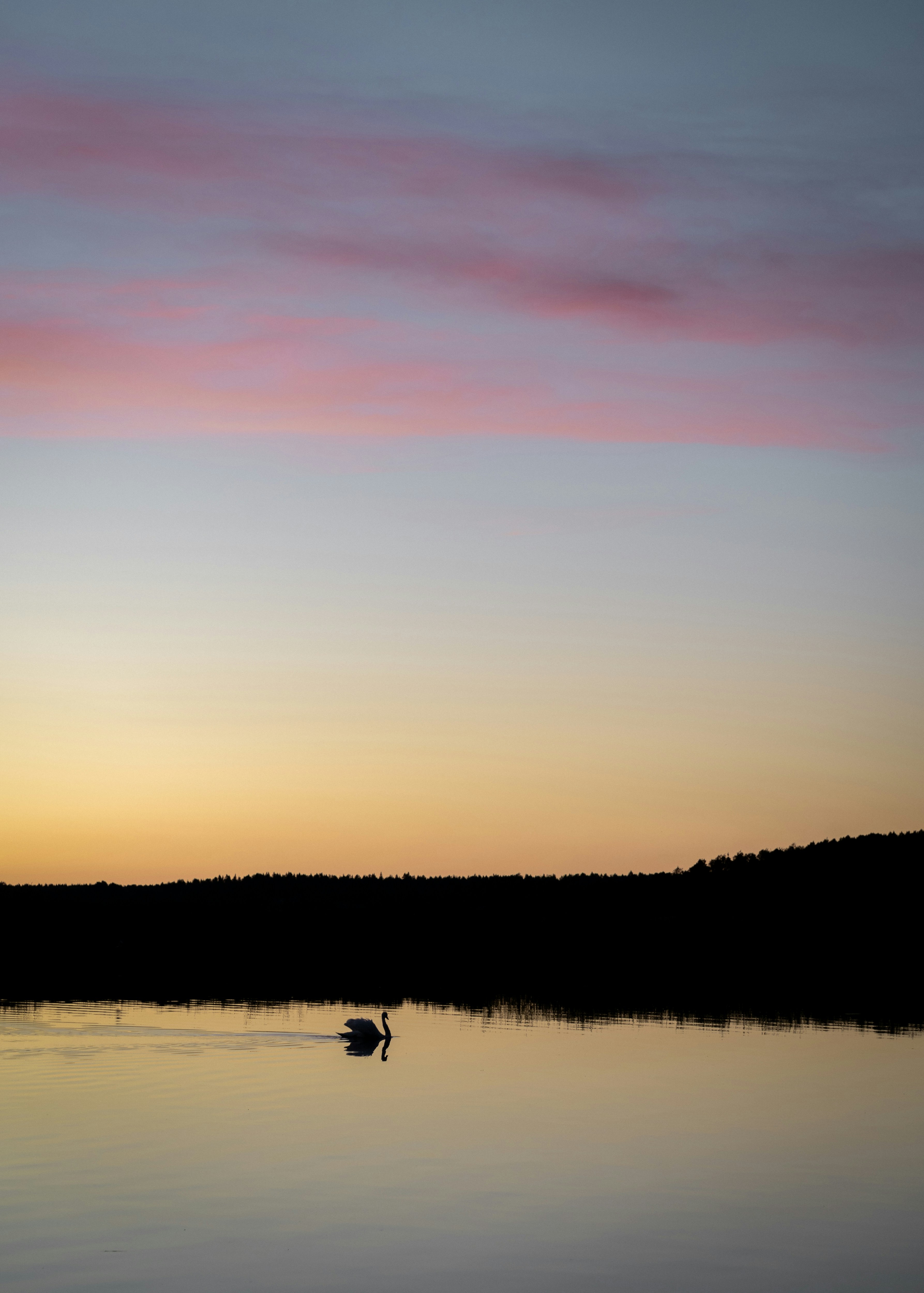 Photo by mikafinland