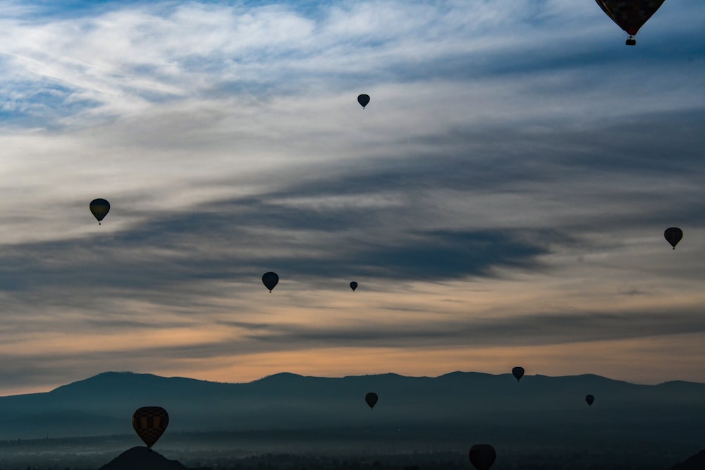 silhouette of hot air balloons during sunset