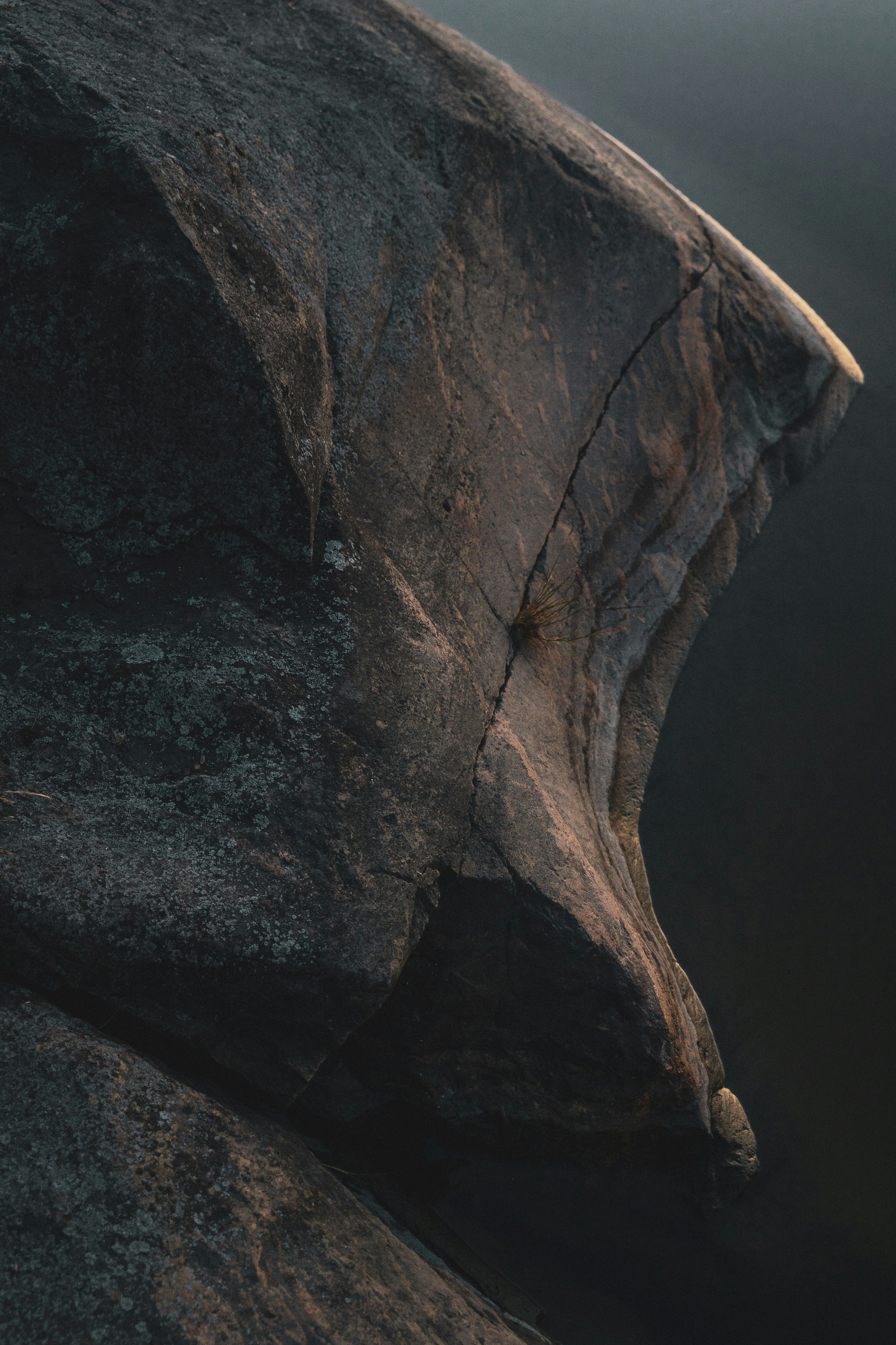 photo-1594672944608-dd9dd8cc3a7b?ixid=M3wxMjA3fDB8MXxzZWFyY2h8MTR8fCVFRiVCRiVCRCVFRiVCRiVCRCVFRiVCRiVCRCVFRiVCRiVCRCVFRiVCRiVCRCVFRiVCRiVCRCVFRiVCRiVCRCVFRiVCRiVCRCVFRiVCRiVCRCVFRiVCRiVCRCVFRiVCRiVCRCVFRiVCRiVCRCVFRiVCRiVCRCVFRiVCRiVCRCVFRiVCRiVCRCVFRiVCRiVCRCVFRiVCRiVCRCVFRiVCRiVCRCUyMCVFRiVCRiVCRCVFRiVCRiVCRCVFRiVCRiVCRCVFRiVCRiVCRCVFRiVCRiVCRCVFRiVCRiVCRCVFRiVCRiVCRCVFRiVCRiVCRCVFRiVCRiVCRCVFRiVCRiVCRCVFRiVCRiVCRCVFRiVCRiVCRCUyMCVFRiVCRiVCRCVFRiVCRiVCRCVFRiVCRiVCRCVFRiVCRiVCRCVFRiVCRiVCRCVFRiVCRiVCRCVFRiVCRiVCRCVFRiVCRiVCRCVFRiVCRiVCRCVFRiVCRiVCRCVFRiVCRiVCRCVFRiVCRiVCRCVFRiVCRiVCRCVFRiVCRiVCRCVFRiVCRiVCRCVFRiVCRiVCRCVFRiVCRiVCRCVFRiVCRiVCRHxlbnwwfHx8fDE3NjgzNzMwMTZ8MA\u0026ixlib=rb-4.1.0