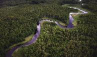 Bird’s-eye view of dense forest and winding river creating patterns of emerald against earth tones.