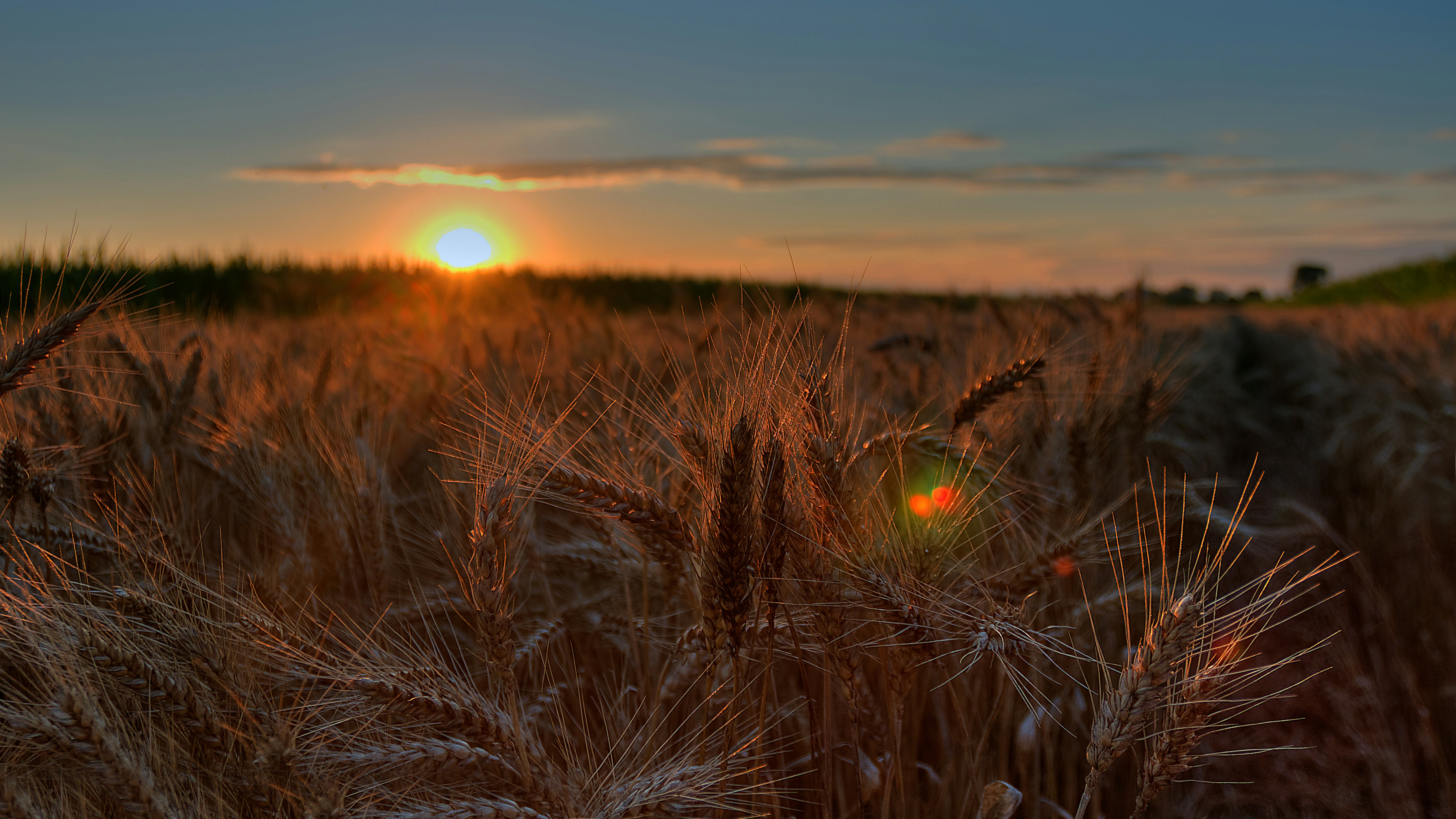 Photo by sylvester_s