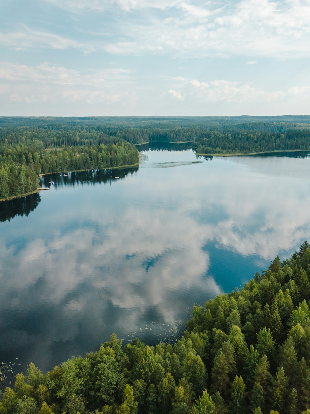 árvores verdes ao lado do lago sob nuvens brancas durante o dia