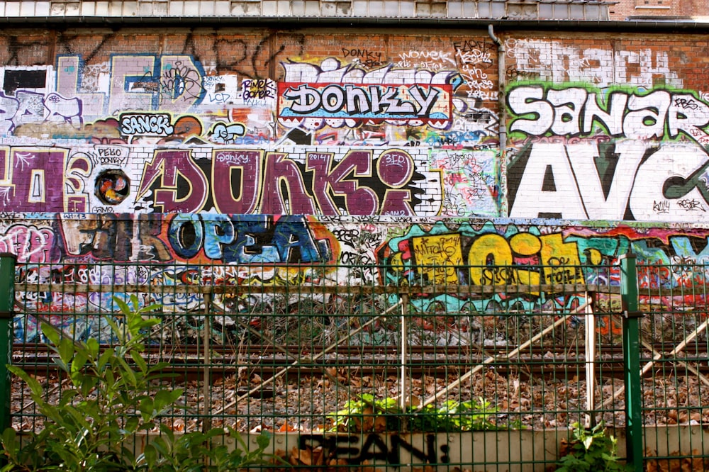 graffiti on wall during daytime