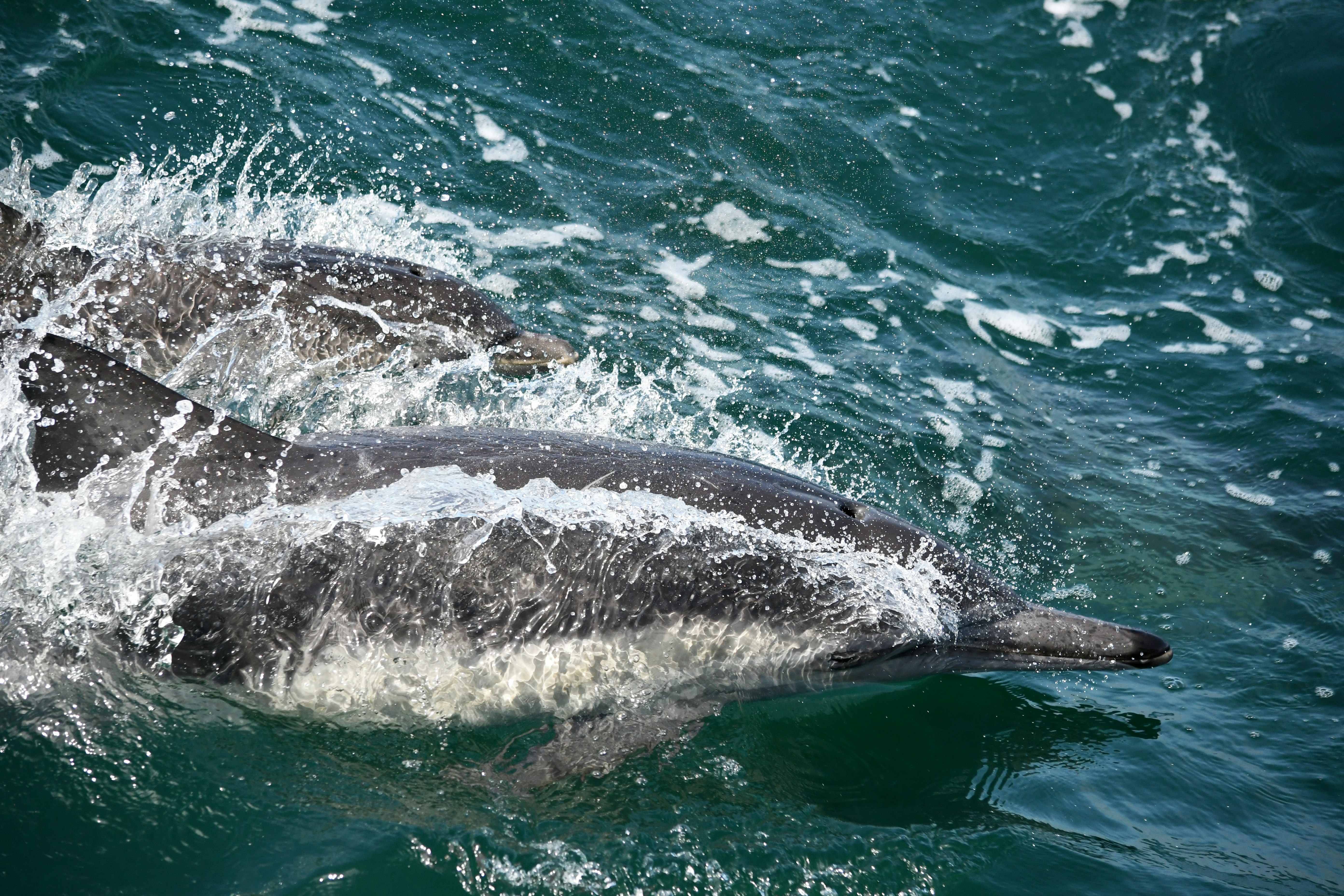 Photo by staceymorrison