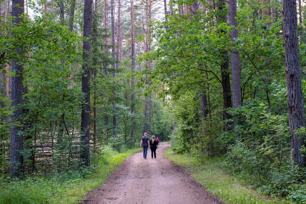 people walking on pathway between green trees during daytime