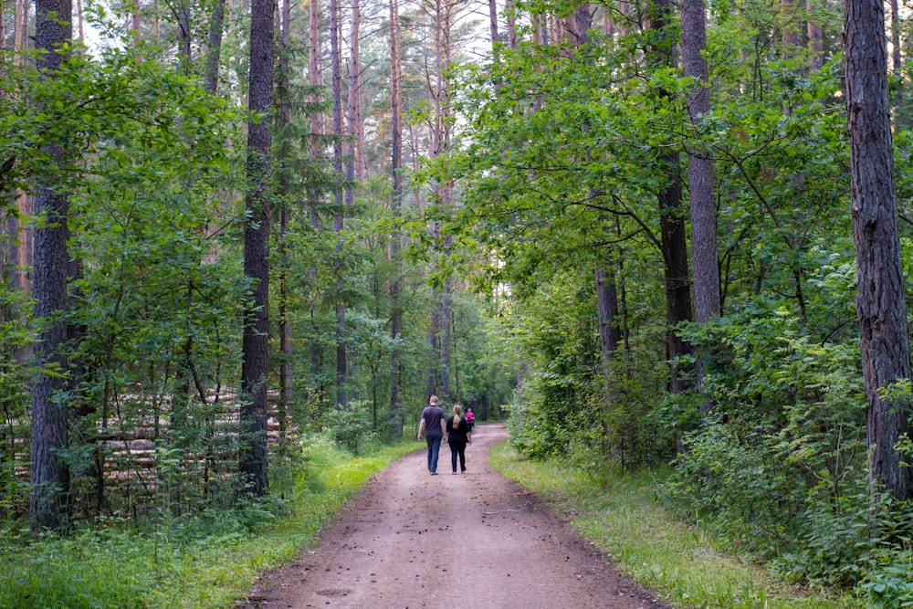 persone che camminano sul sentiero tra gli alberi verdi durante il giorno
