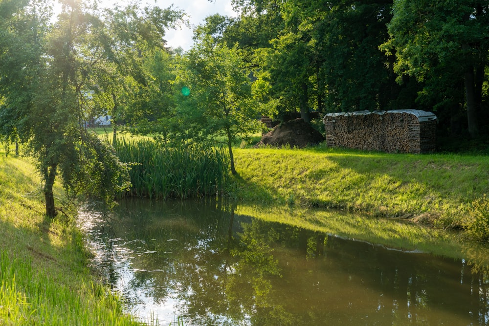 green grass and trees beside river during daytime