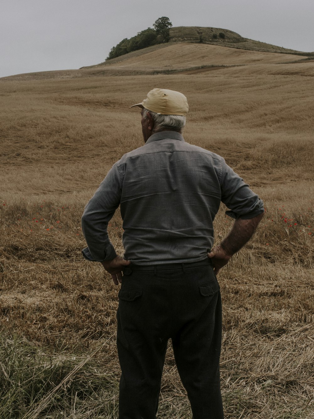 uomo in polo grigia e pantaloni neri in piedi sul campo di erba marrone durante il giorno