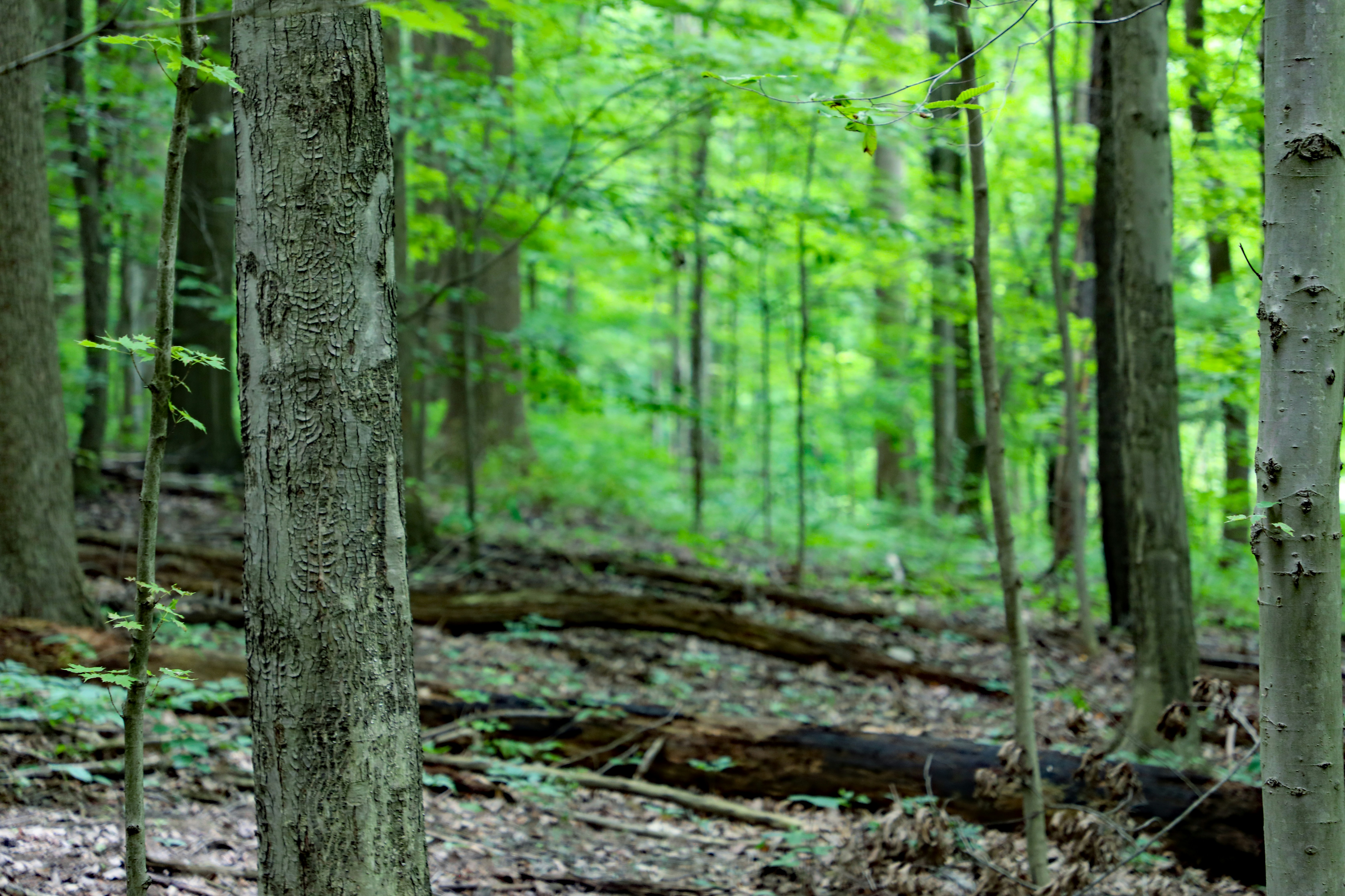 Photo by michaelbweidner