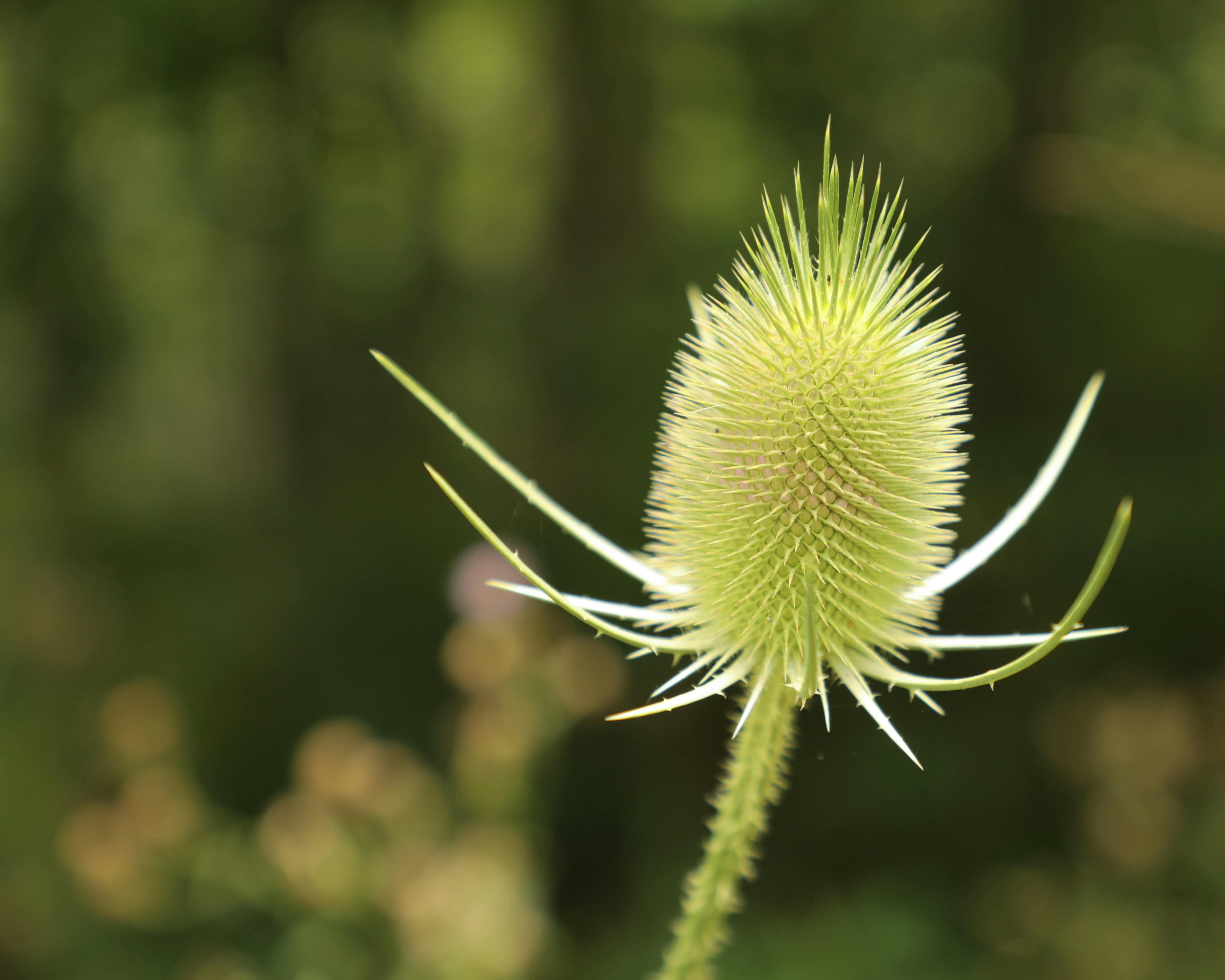 Photo by michaelbweidner