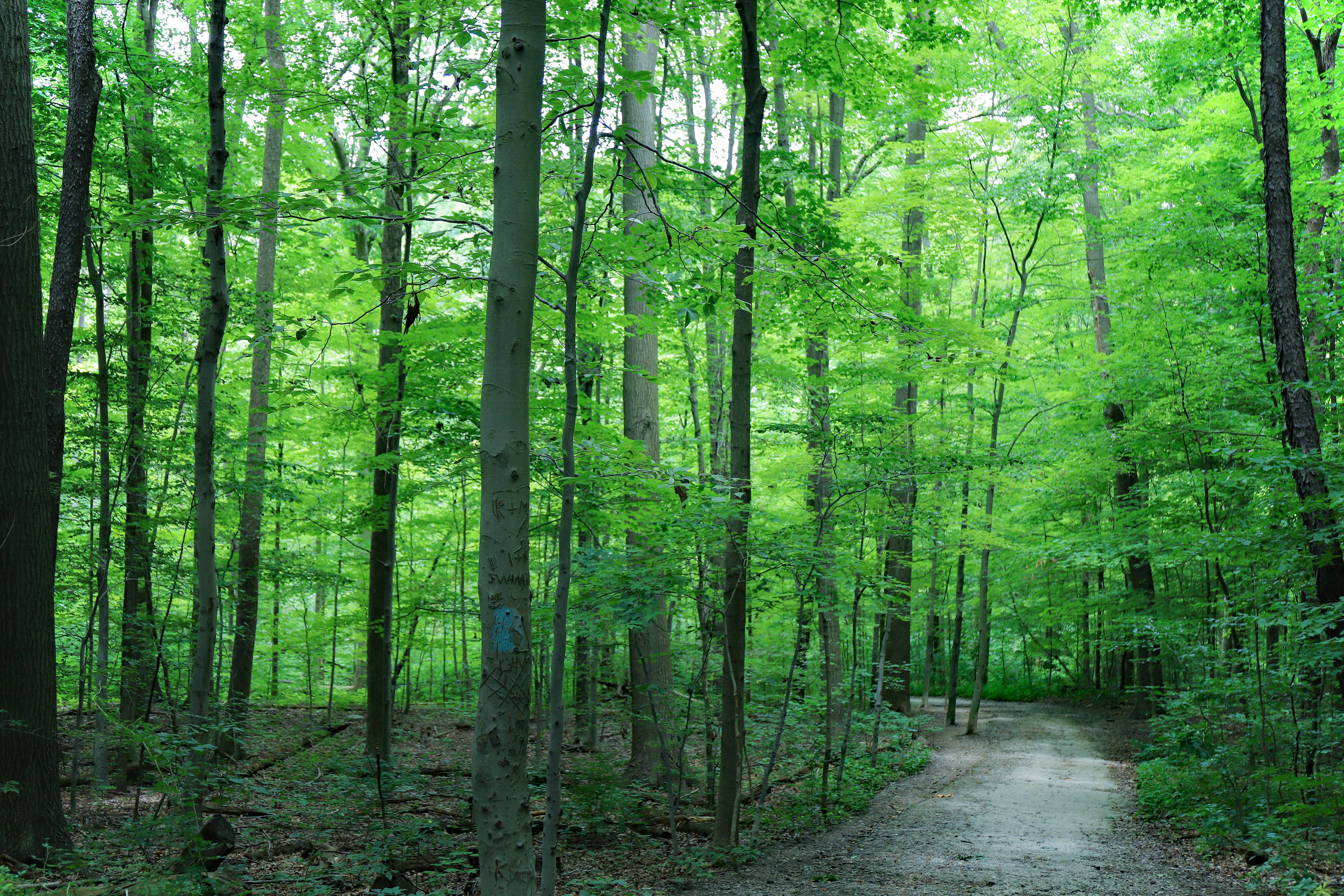 Photo by michaelbweidner